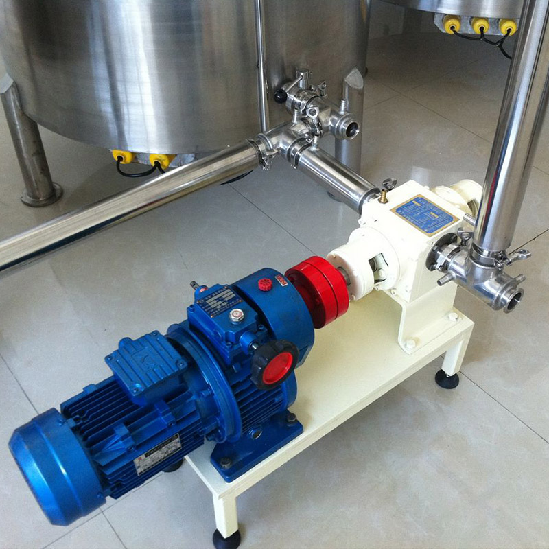 DTJ Delivery Pump Sjokolade Delivery Pump Machinery Utstyr